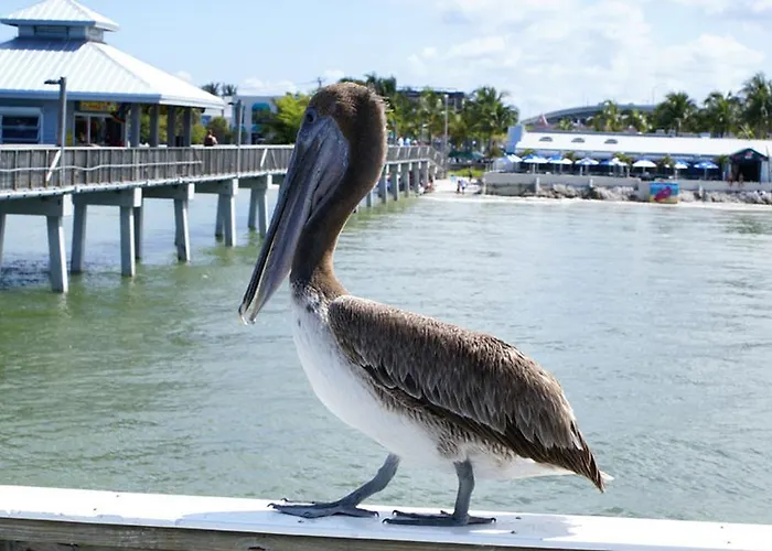 Manatee Bay Inn